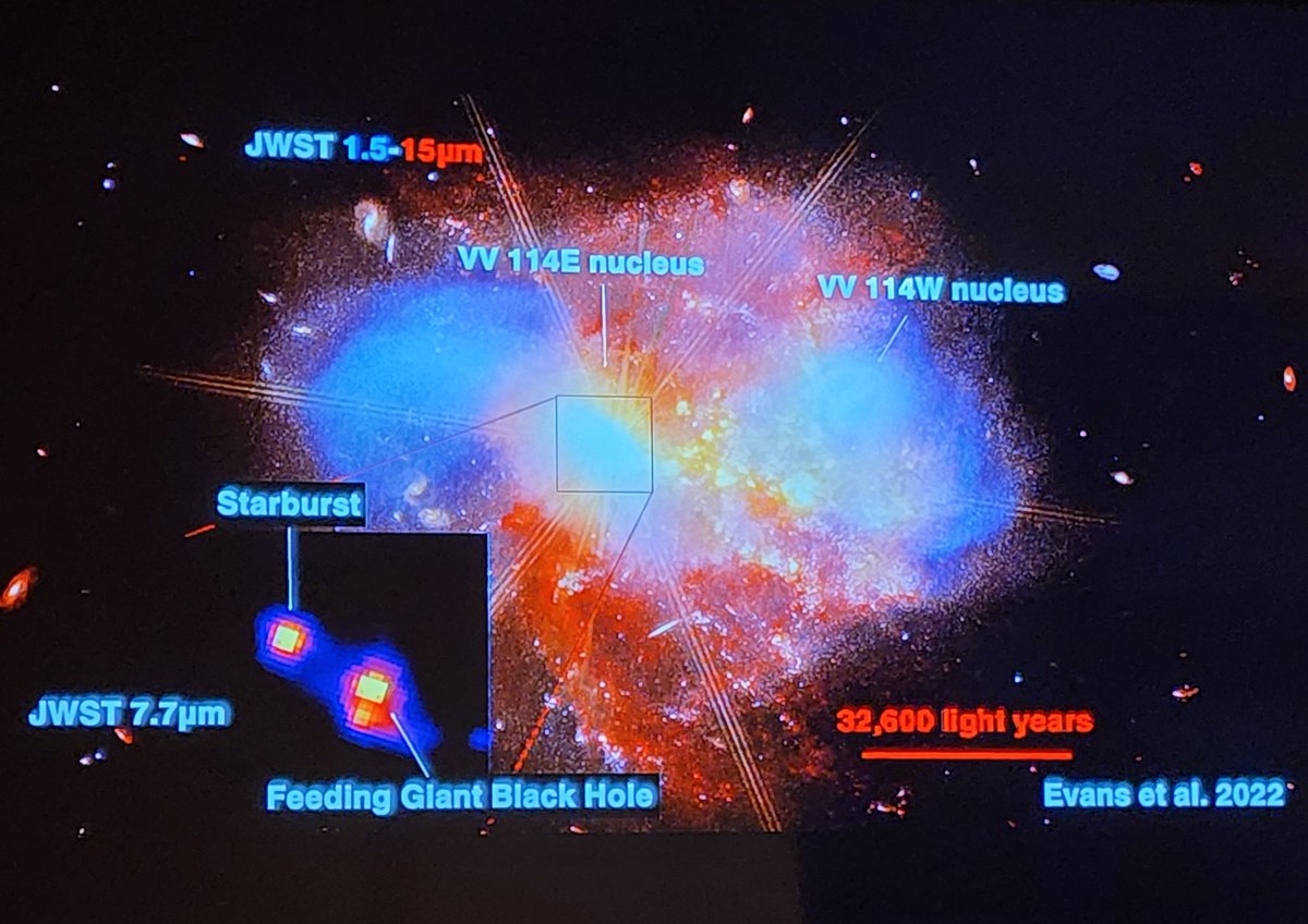 #JWST picked up young star clusters in galaxies that we'd never seen before, explains @astrojrich to a packed crowd at @TheHuntington. It also allowed us to better understand the impact that superlative black holes at the center of galaxies have on star formation, he adds.
