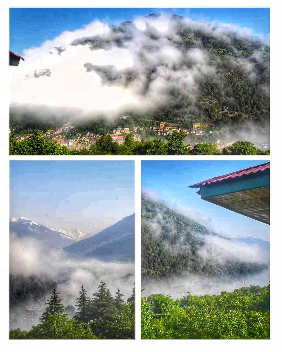 Post card from Kullu, misty morning and the art of living it #mist #kullu #Himachal #weather #Friday #motivation #love