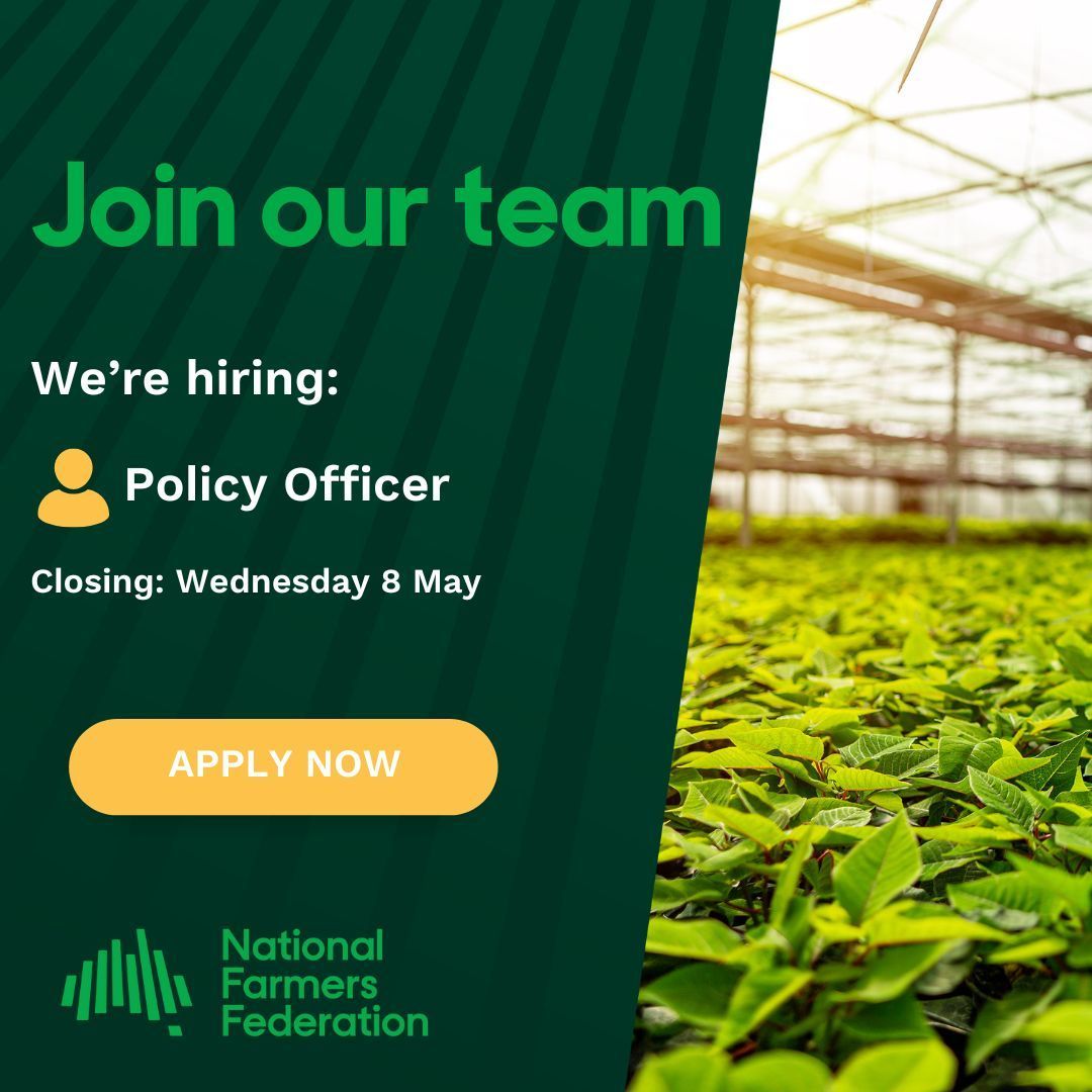 Are you passionate about agriculture and eager to advance your career in policy and advocacy? Look no further! Our team at NFF is seeking a dedicated Policy Officer to join us in Canberra. Apply now! ➡️ seek.com.au/job/75495549?r…