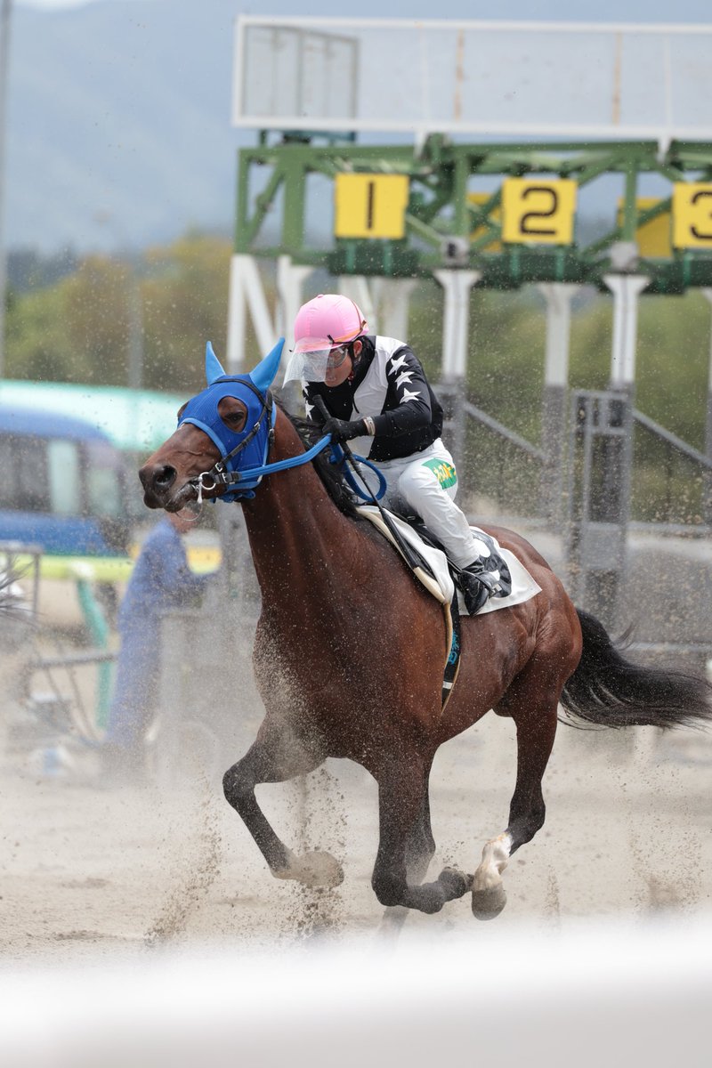 #アルファエッジ
 #ゴールドシップ
 #岩手競馬