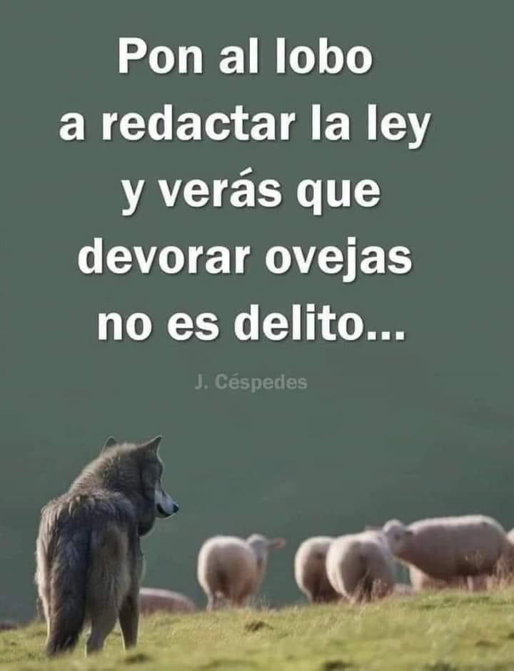 Buenos días 😘💜✊
#PoderJudicialCorrupto #PoderJudicial #PrensaBasura #PrensaCorrupta #FeijóoNoTeQueremos