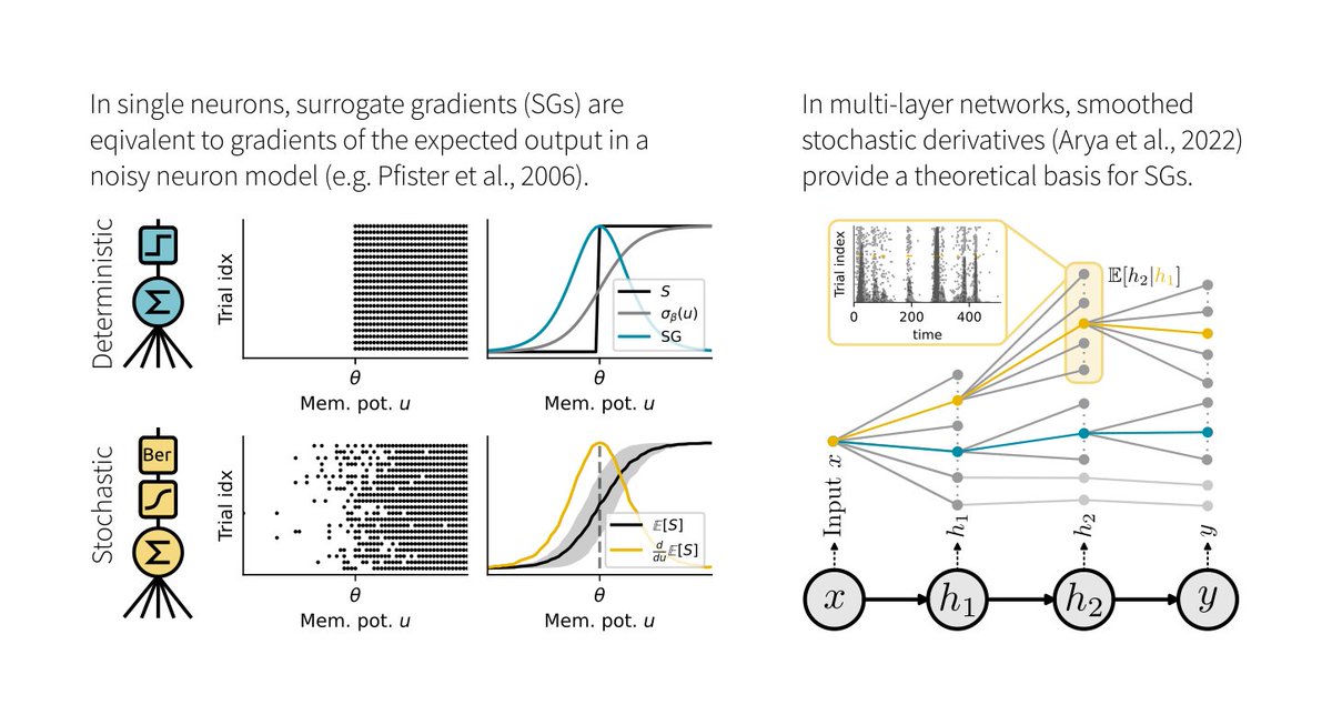 1/6 Surrogate gradients (SGs) are empirically successful at training spiking neural networks (SNNs). But why do they work so well, and what is their theoretical basis? In our new preprint led by @JuliaGygax4, we provide the answers: arxiv.org/abs/2404.14964