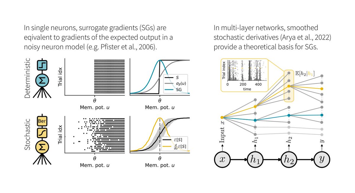 Friedemann Zenke (@hisspikeness) on Twitter photo 1/6 Surrogate gradients (SGs) are empirically successful at training spiking neural networks (SNNs). But why do they work so well, and what is their theoretical basis? In our new preprint led by <a href="/JuliaGygax4/">Julia Gygax</a>, we provide the answers: arxiv.org/abs/2404.14964 1/6 Surrogate gradients (SGs) are empirically successful at training spiking neural networks (SNNs). But why do they work so well, and what is their theoretical basis? In our new preprint led by <a href="/JuliaGygax4/">Julia Gygax</a>, we provide the answers: arxiv.org/abs/2404.14964