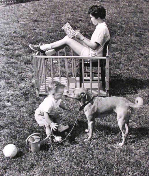 Babysitter (1961) by Jack Tinney
#readingissexy