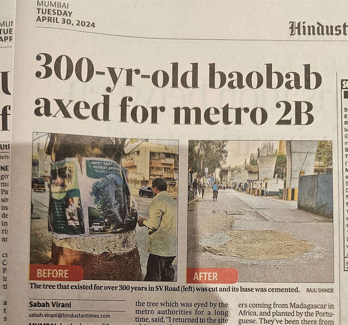 A family elder has been ruthlessly hacked to death! All in the name of 'development'. Shows the low level of thinking by @mybmc and @MMRDAOfficial It's a criminal act. #baobabmurder