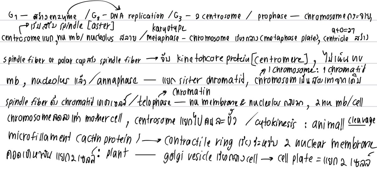 สรุป mitosis

เยื้อหุ้มนิวเคลียสโผล่มาในระบบเมื่อไร สารพันธุกรรมจะอยู่ในรูป chromatin [interphase,telophase,cytokinesis] นอกนั้นอยู่ในรูป chromosome หมด [นับเป็น 2 chromatid ตั้งแต่ dna rep,chromatid เดียวจะอยู่ช่วง annaphase (แยก sister) เป็นต้นไป]

ที่พิมพ์มาไม่รู้ถูกมั้ย 55555