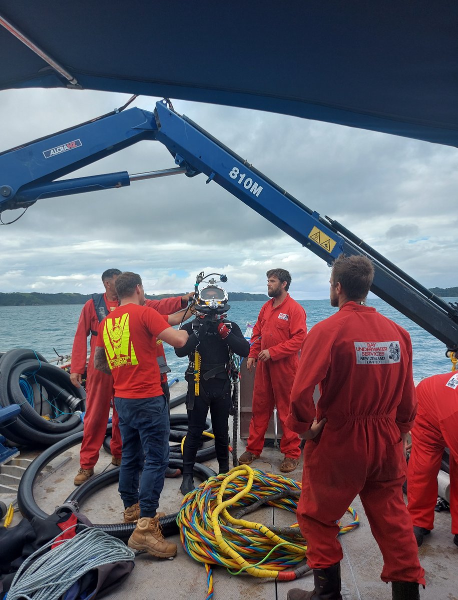 Divers are making use of the good weather ☀️ by starting to remove exotic caulerpa from Iris Shoal near Kawau Island. This is 1 of 6 new projects, following a $5m funding boost to progress tech to remove caulerpa. Read about the latest update, here: bit.ly/44k7iEu