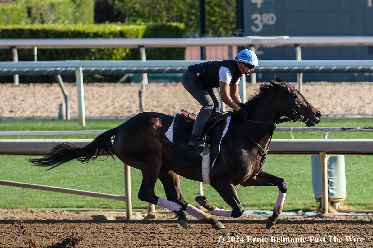 Ruby Nell (6F: 1:12.20 H) working this morning.