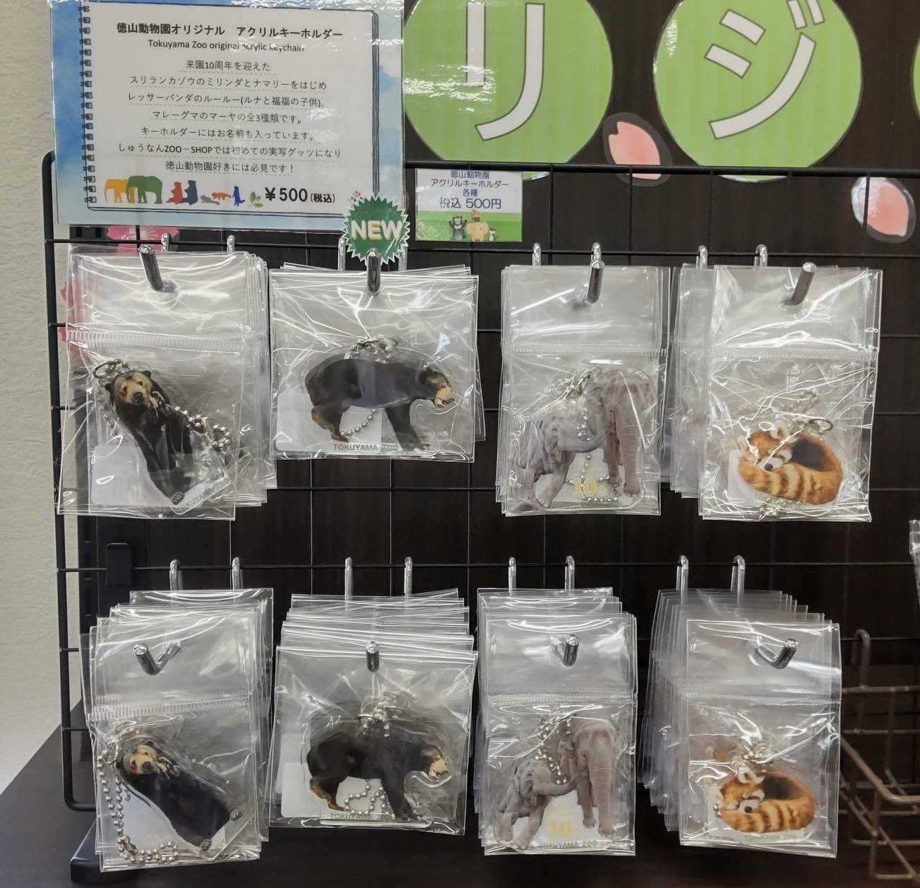 周南市徳山動物園(公式) on X: 