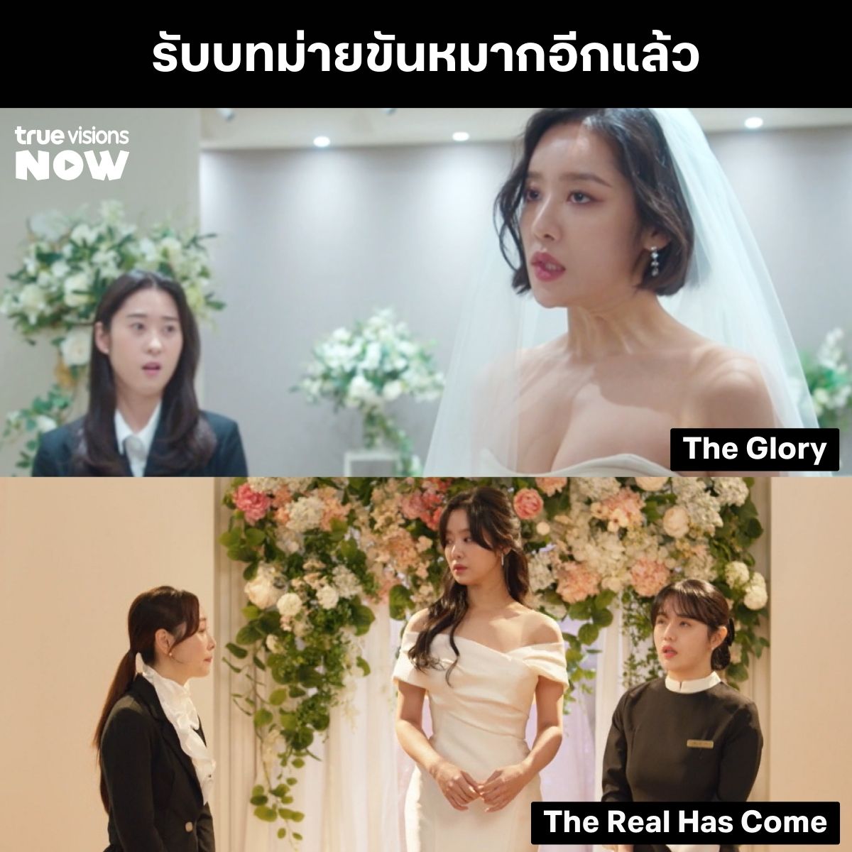 จำกันได้ไหม นางร้ายจาก The Glory มาเรื่องนี้ #ชาจูยอง ก็ได้ใส่ชุดเจ้าสาวอีกแล้ว แต่ก็ยังโดนเท เรื่องหน้าต้องได้แต่งแล้วนะ #TrueVisions #Series #Kdrama #ซีรีส์เกาหลี #ChaJooYoung #นางร้าย #TheGlory #TheRealHasCome #แต่งงาน