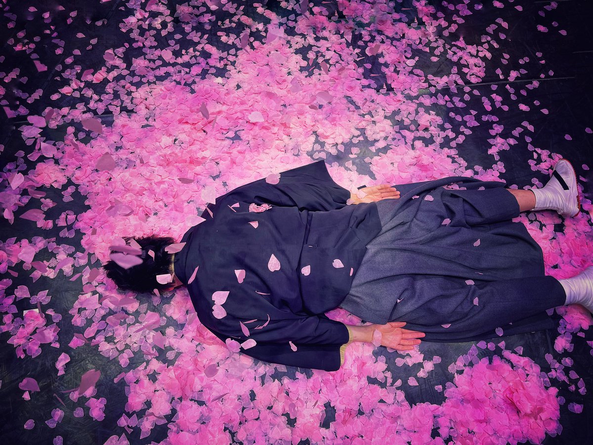 近藤勇✴︎寝そべりブロマイドの反響に震えております。無事に完売しました🌸
速攻の連続写真で撮ってるので、ほぼ桜床を暴れるおじさんになってますが（笑）
そこに謎の価値が爆誕しました💥