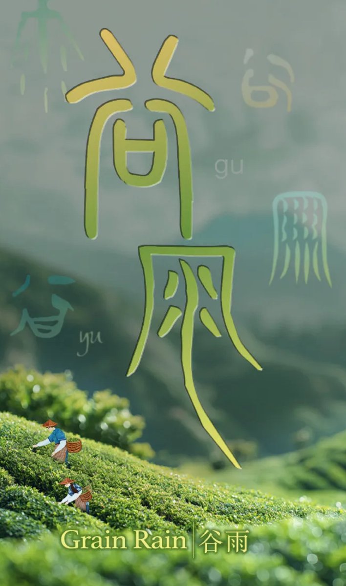 谷雨（gǔ yǔ）: grain rain