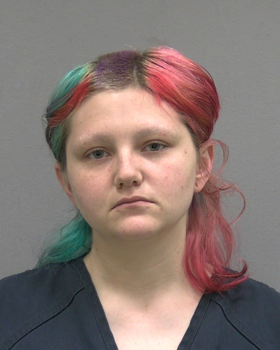 3. Allison Marie Rooney, 23 Charges: Failure to obey a police officer, resisting an officer without violence, wearing a hood or mask on public property