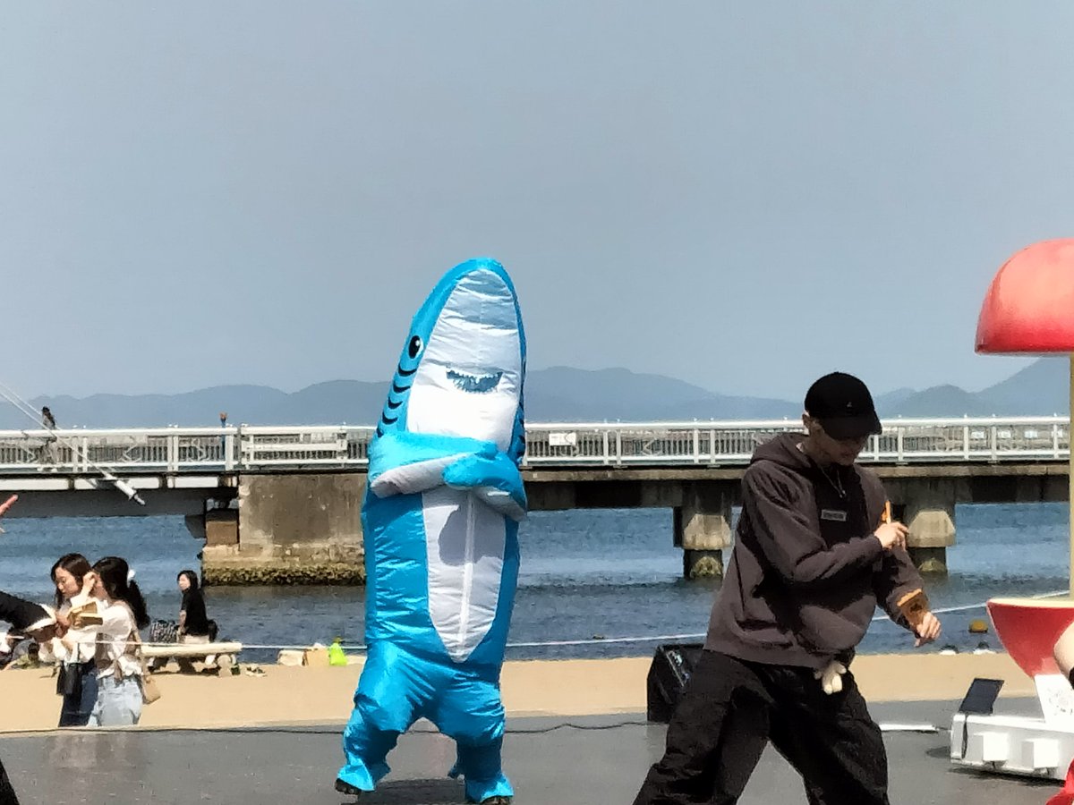 AOMORI春フェスティバル
サメくん総踊りノリノリでした♪