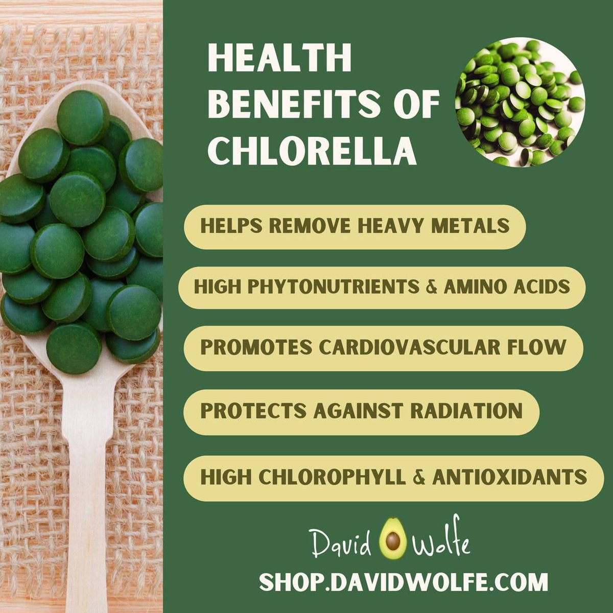 Chlorella is an enormously important broad-spectrum superfood for the times! Start taking chlorella and help protect your body against stress, heavy metals & radiation.
bit.ly/chlorella-tabl…