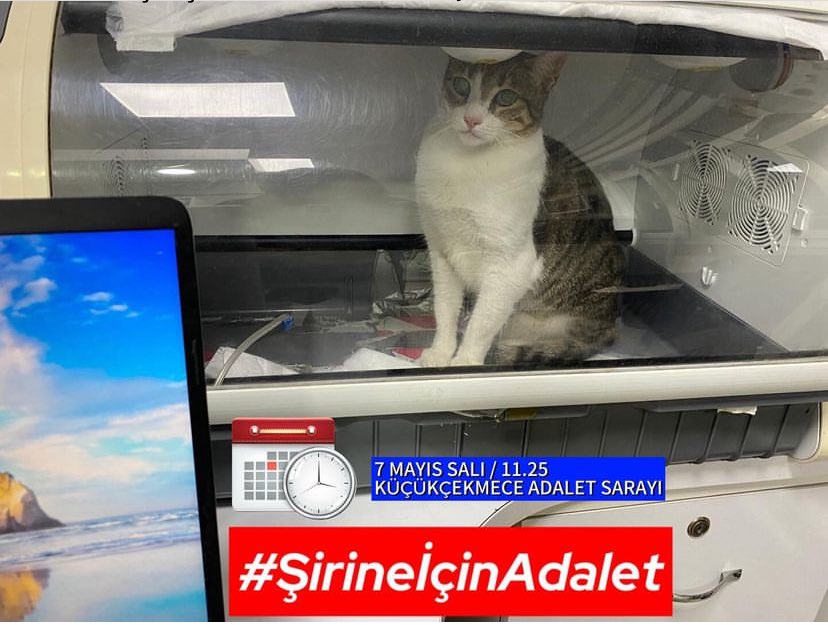 #şirineiçinadalet