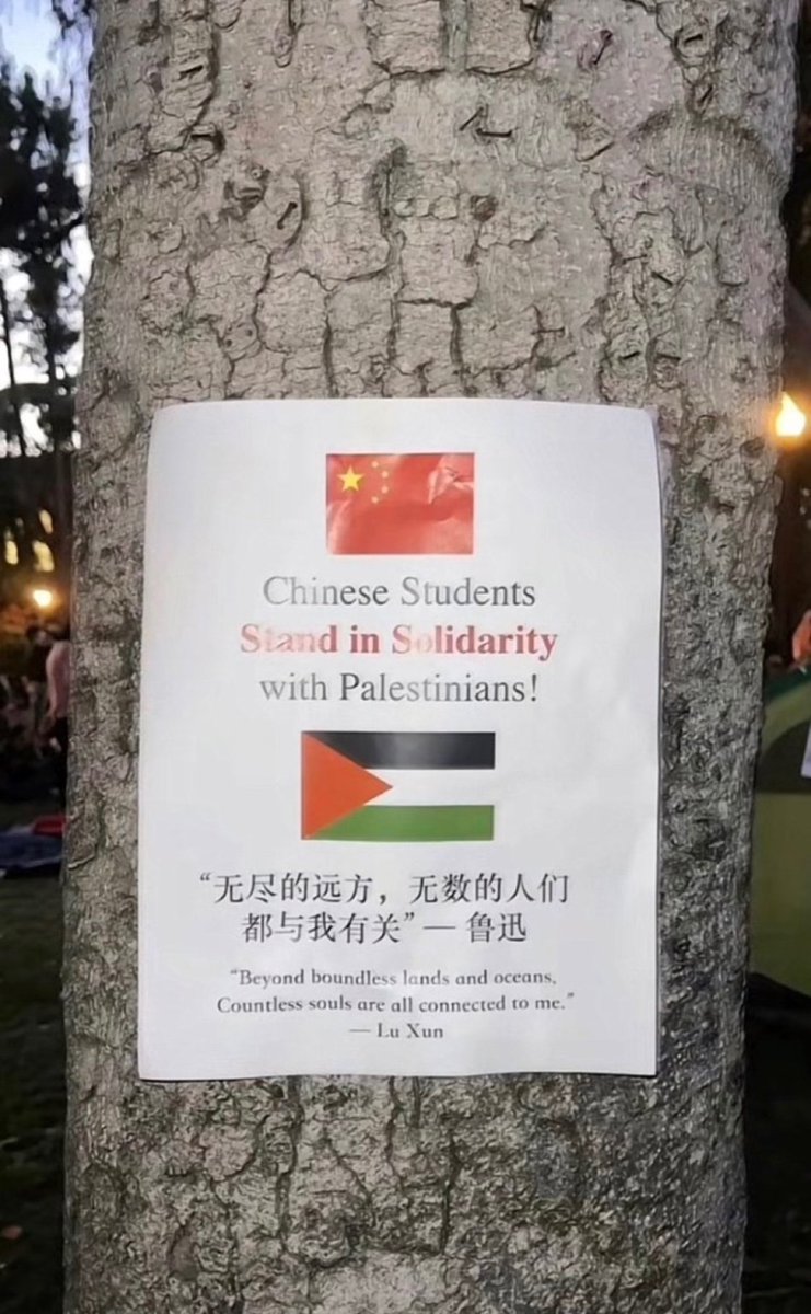 CHINESE CHILDREN STAND IN SOLIDARITY WITH PALESTINE