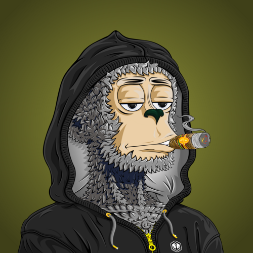 z👀tz Anchor Club ⚓️ tweet media