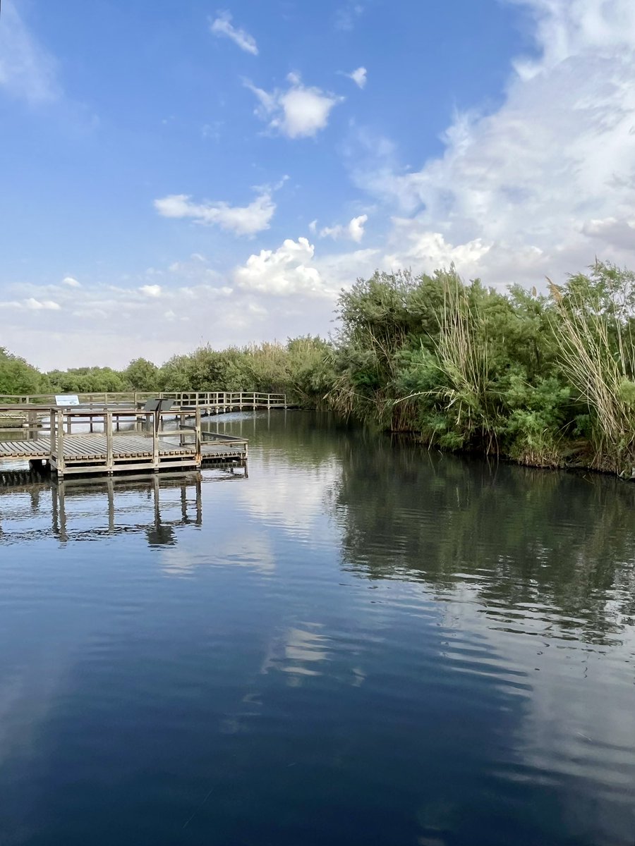 Da Umm Al-Jimal, antica città costruita interamente con roccia basaltica nera, alla Riserva umida dí Azraq passando per la Badia Cave: la Giordania è una scoperta continua #travel #Jordan #lonelyplanetitalia