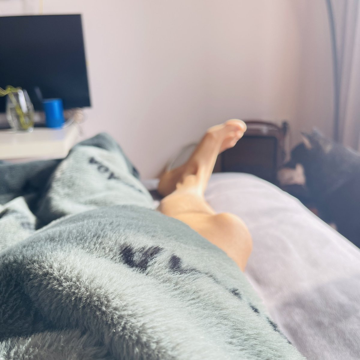 Albert _a tweet media