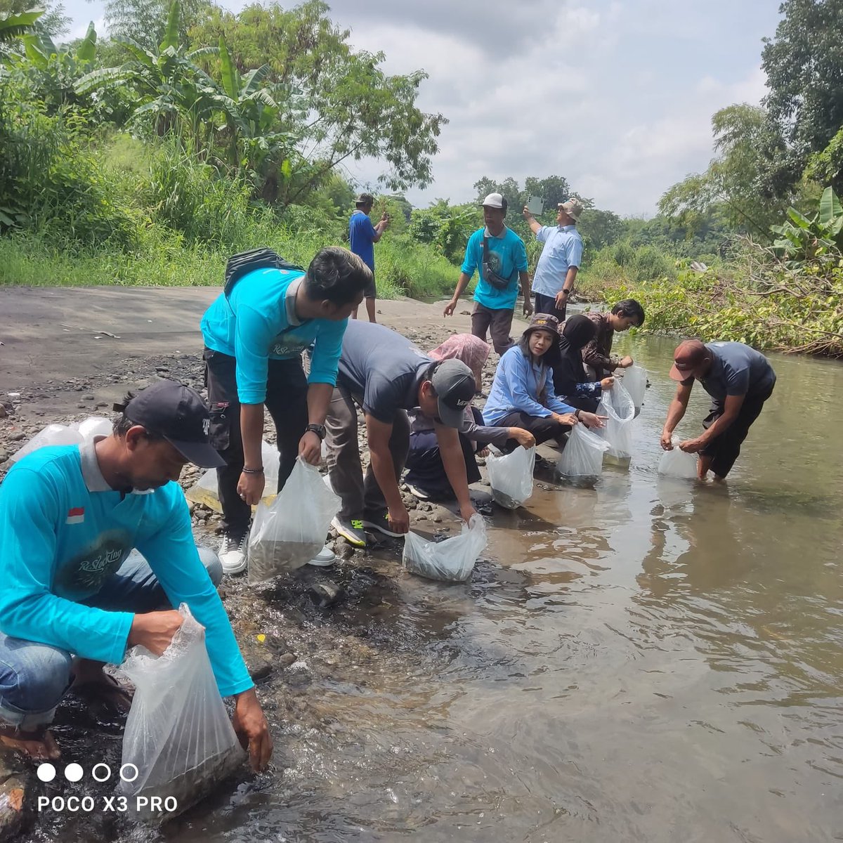 Restoking ikan nila di sungai Babarsari Depok oleh kelompok POKMASWAS SoboKali,sombomerten Maguwoharjo Depok dengan Dinas kelautan dan perikanan DIY,Dinas Pertanian,Pangan dan Perikanan Kabupaten Sleman,penyuluh perikanan kapanewon Depok. Dian W.A Luhkan Sleman, pada 23April 2024