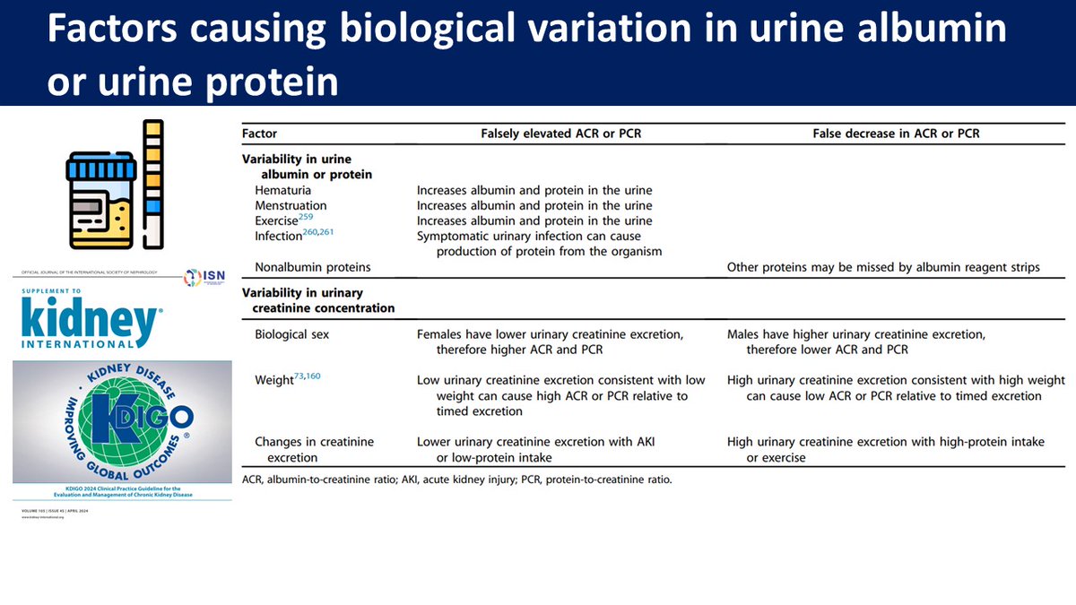 Practice Point 1.3.1.3 from @goKDIGO: Understand factors that may affect interpretation of measurements of urine albumin and urine creatinine and order confirmatory tests as indicated #Nephpearls 👉 kdigo.org/guidelines/ckd…