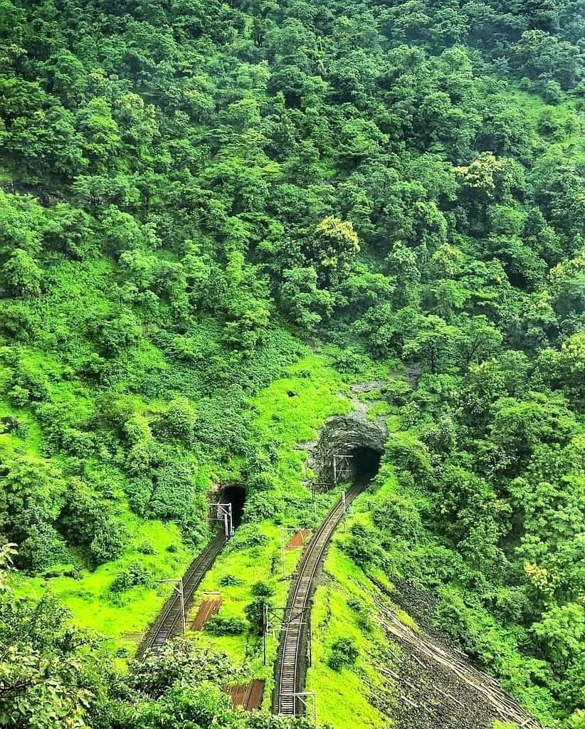 Good morning  -   The breathtaking view of rail lines going into one of the tunnels in the Kasara Ghat between Kasara and Igatpuri, surrounded by the gorgeous green cover of the Sahyadris - in the jurisdiction of Mumbai division of Central Railway