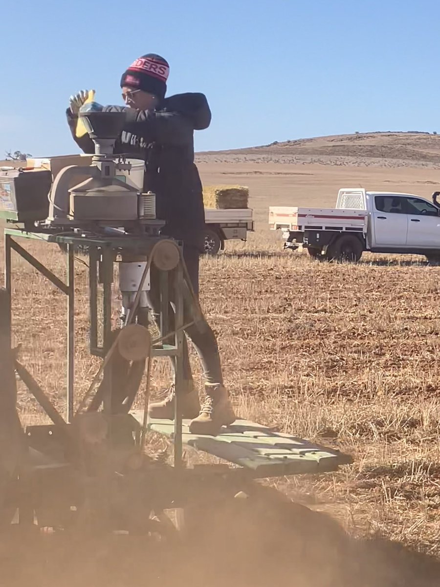 Well that’s something I never thought I’d do…. Lentil sowing at YONGALA. 

One of two lentil trials. One at Yongala &amp; one at Jamestown. Looking at 11 varieties, plant populations (80, 120 and 160 plants/m2) and the new acid tolerant rhizobia vs the normal. 

<a href="/EldersLimited/">Elders</a>