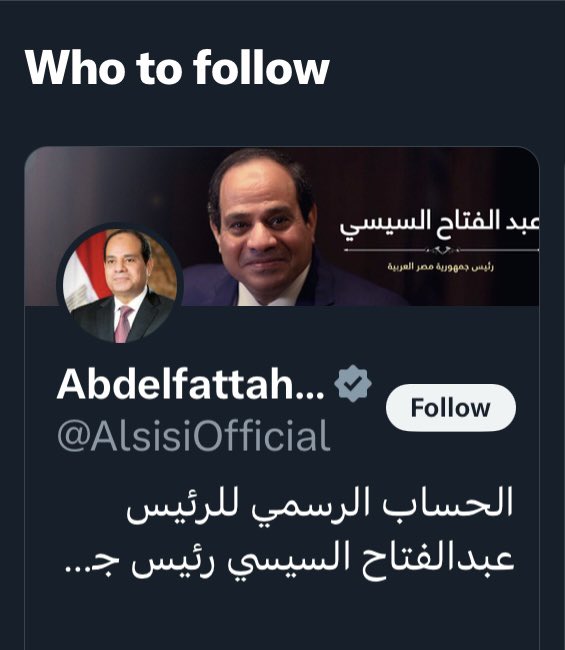 Besides Apartheid Clyde, Twitter now regularly recommends I follow el Sisi 🤷🏻‍♀️
