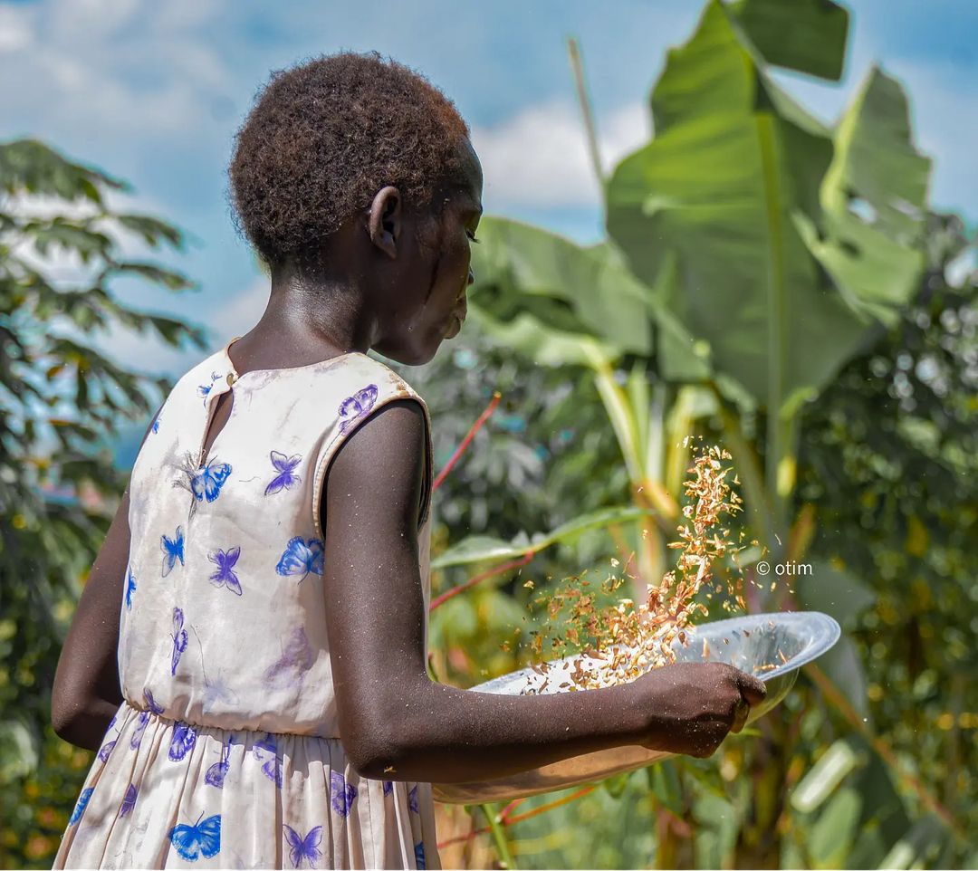 Captured in a moment of timeless tradition, as the young girl gracefully guides the grains through the air, winnowing away impurities while embracing the harmony of nature's rhythm. 
#documentaryphotographer