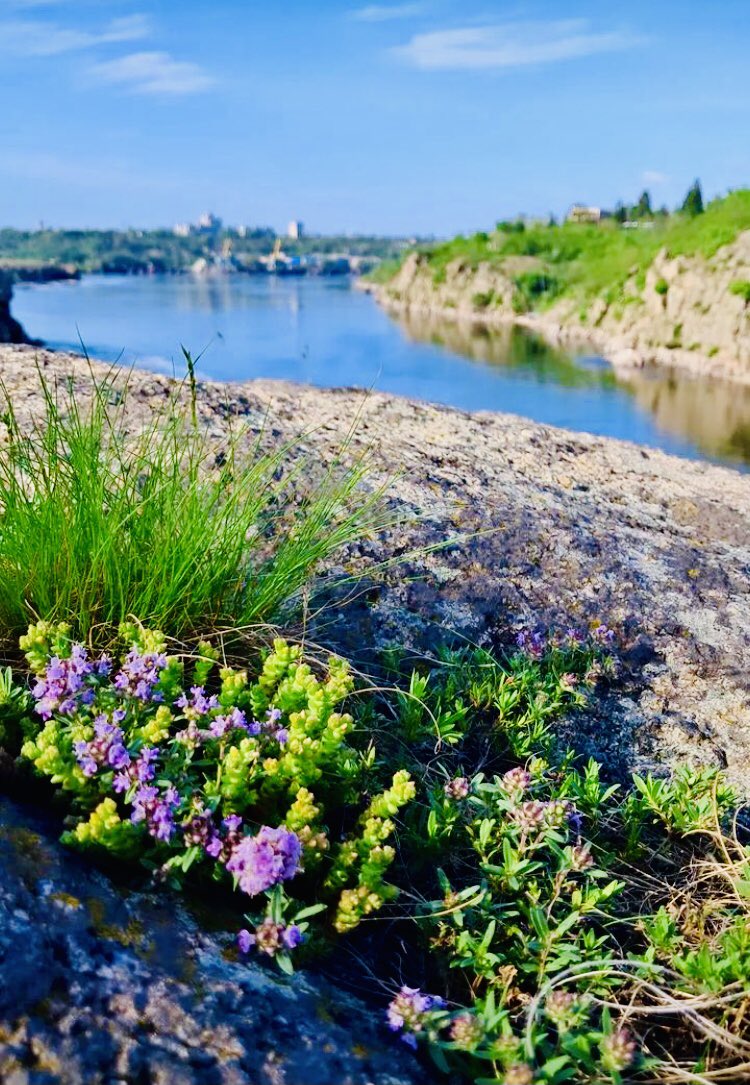 anenko40104_dem's tweet image. #Ukraine #riverdnipro