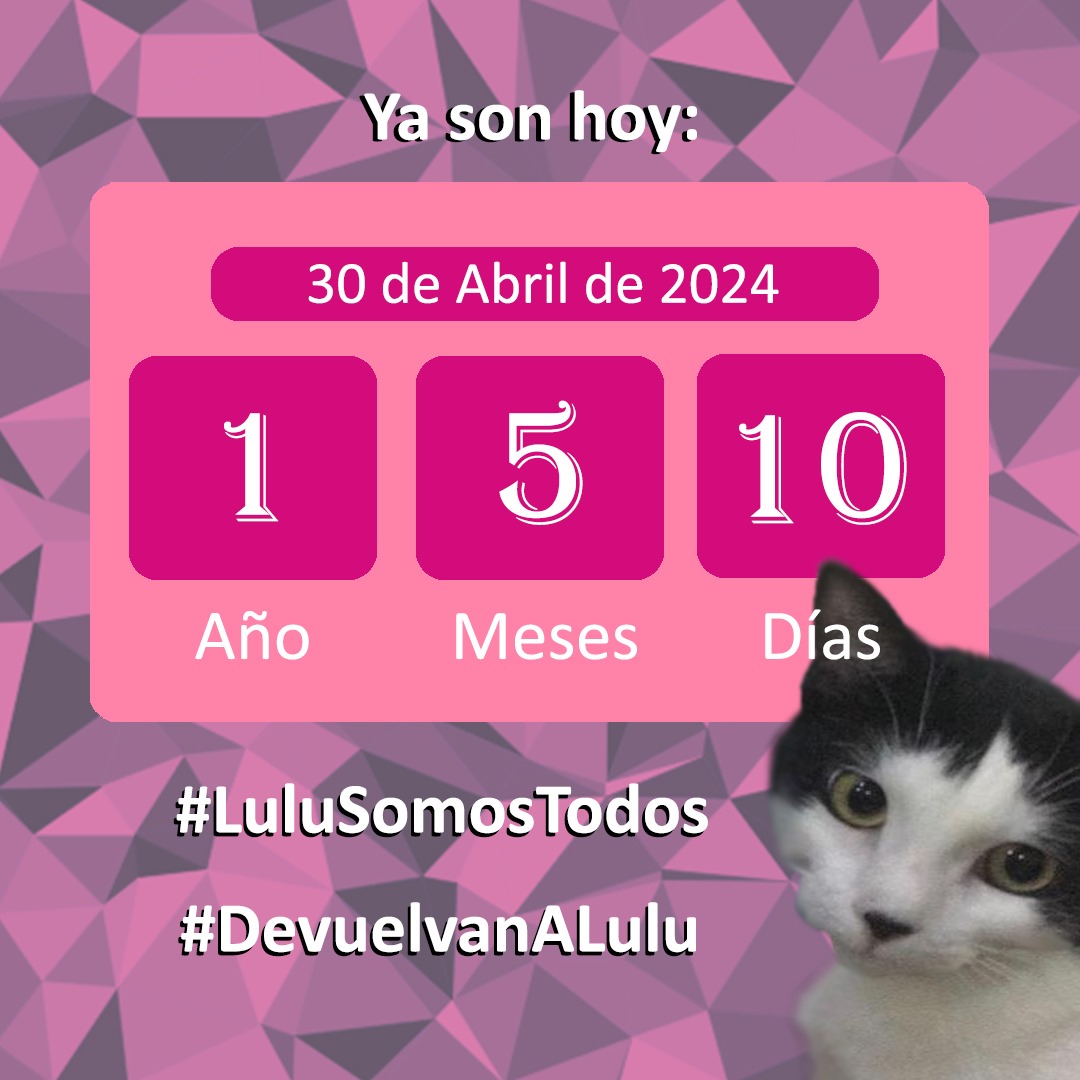 #30Abr #LuluEsElMilagro, muéstrate! DIOS, bríndame la gracia de su regreso y permíteme continuar siendo voz y presencia de #LuluSomosTodos. Para darles el lugar que merecen. #Respeto y #Vida. #Seguimos