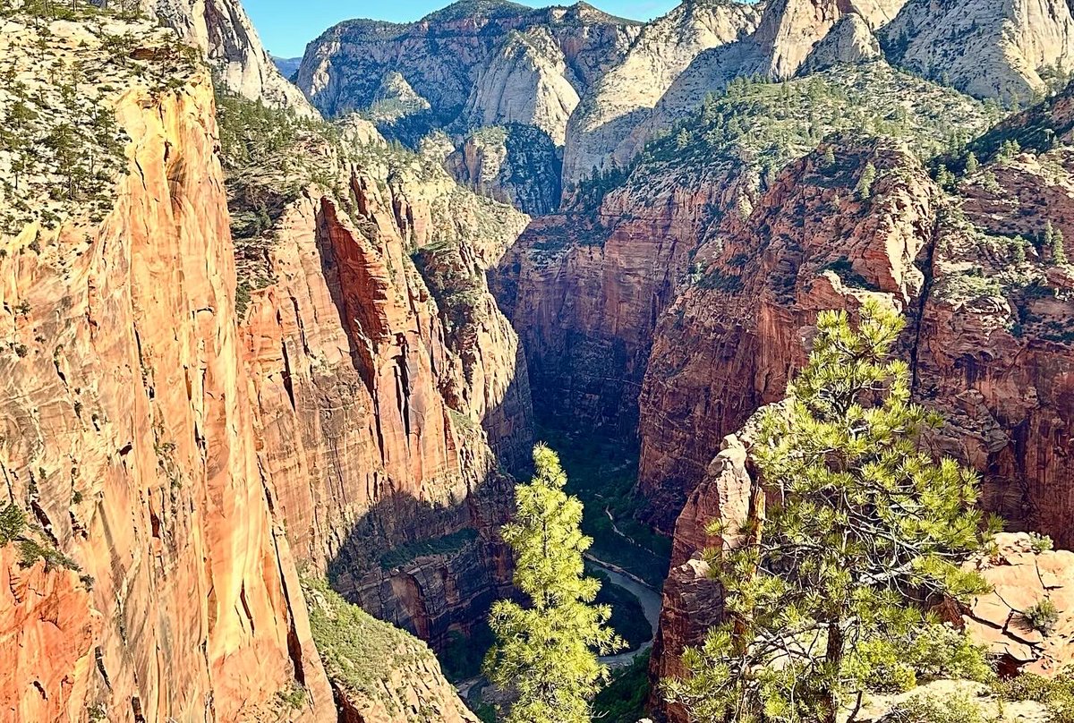 Dr Aidan Baron tweet media