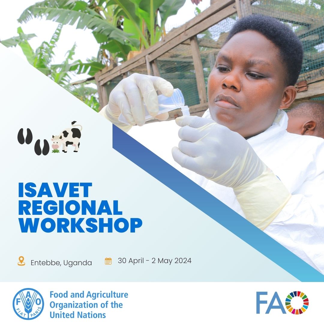 📢Today marks the start of the 3-day In-Service Applied Veterinary Epidemiology Training (ISAVET) program Regional Workshop to discuss #ISAVET implementation, successes & strategies for sustainability. Participating countries include 🇪🇹🇰🇪🇲🇬🇲🇼🇲🇿🇷🇼🇸🇸🇹🇿🇺🇬🇿🇲 #OneHealth
