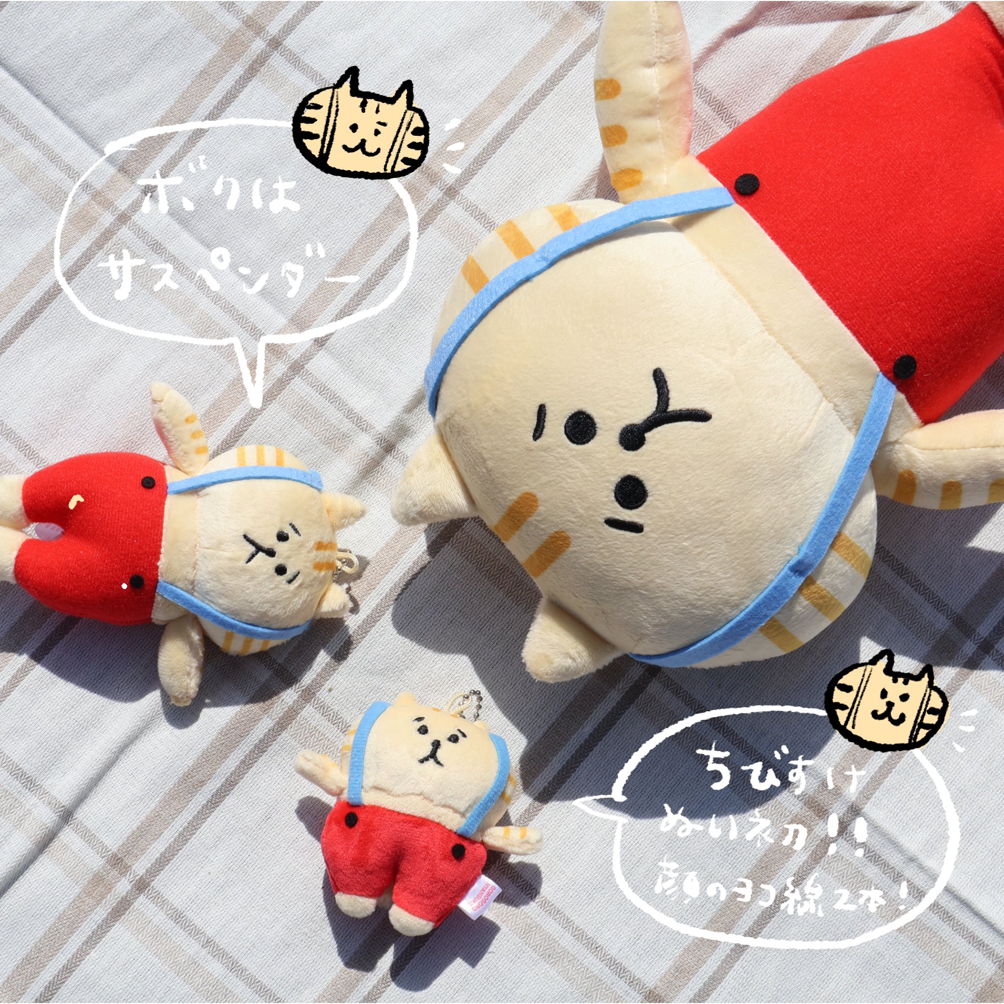 沖縄限定】もちふわ ころころにゃんこ おきなわしーさーにゃん2