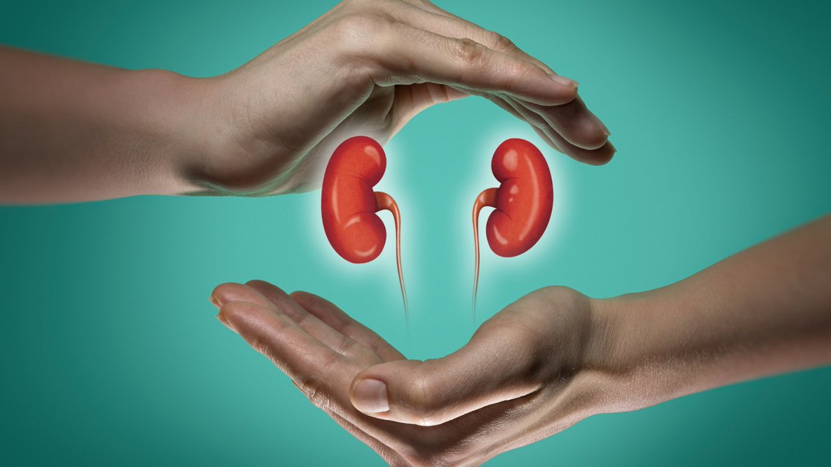 Myth: #Transplants are a permanent cure for #CKD

topazstudios.com/blogs/shop/myt… #chronic #kidney #disease #renal #illness # ESKD