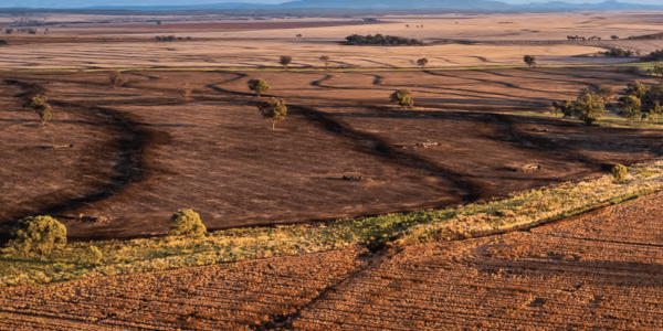 Latest listings include Tuwinga on the Liverpool Plains and  Glenara near Dubbo, and the Silkwood Aggregation west of the NT’s Adelaide River

👉 loom.ly/LFIxJqU