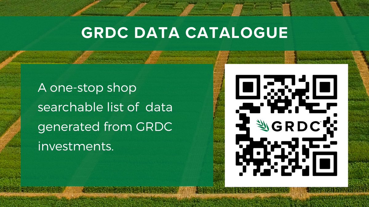 🥳🥳 Today we launched the GRDC Data Catalogue! It will enable Australian researchers to tap into a goldmine of info to accelerate the release of new technology and knowledge for grain growers.

👉More: bit.ly/3y5QZz0
✔️Access GRDC Data Catalogue: bit.ly/3xUtitz