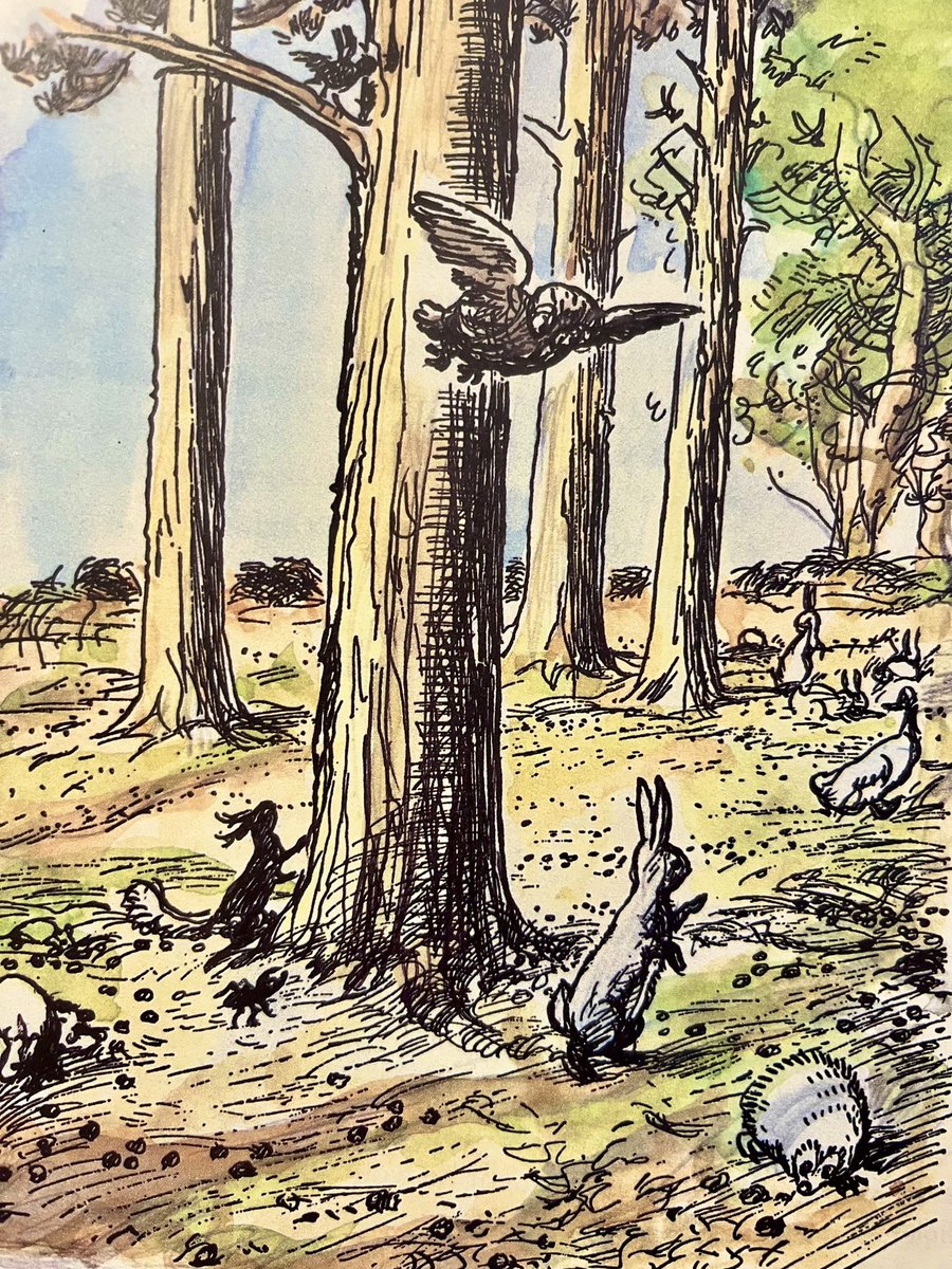 Pooh had forgotten to ask who Small was, and whether he was the sort of friend-and-relation who settled on one’s nose, or the sort who got trodden on by mistake, so he thought he would begin the Hunt by asking Piglet what they were looking for before he looked for it. ~A.A.Milne