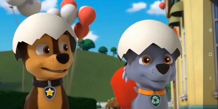 ♻️💚 Daily Rocky 💚♻️
April 30 2024

#PAWPatrol #Rocky
#DailyPics