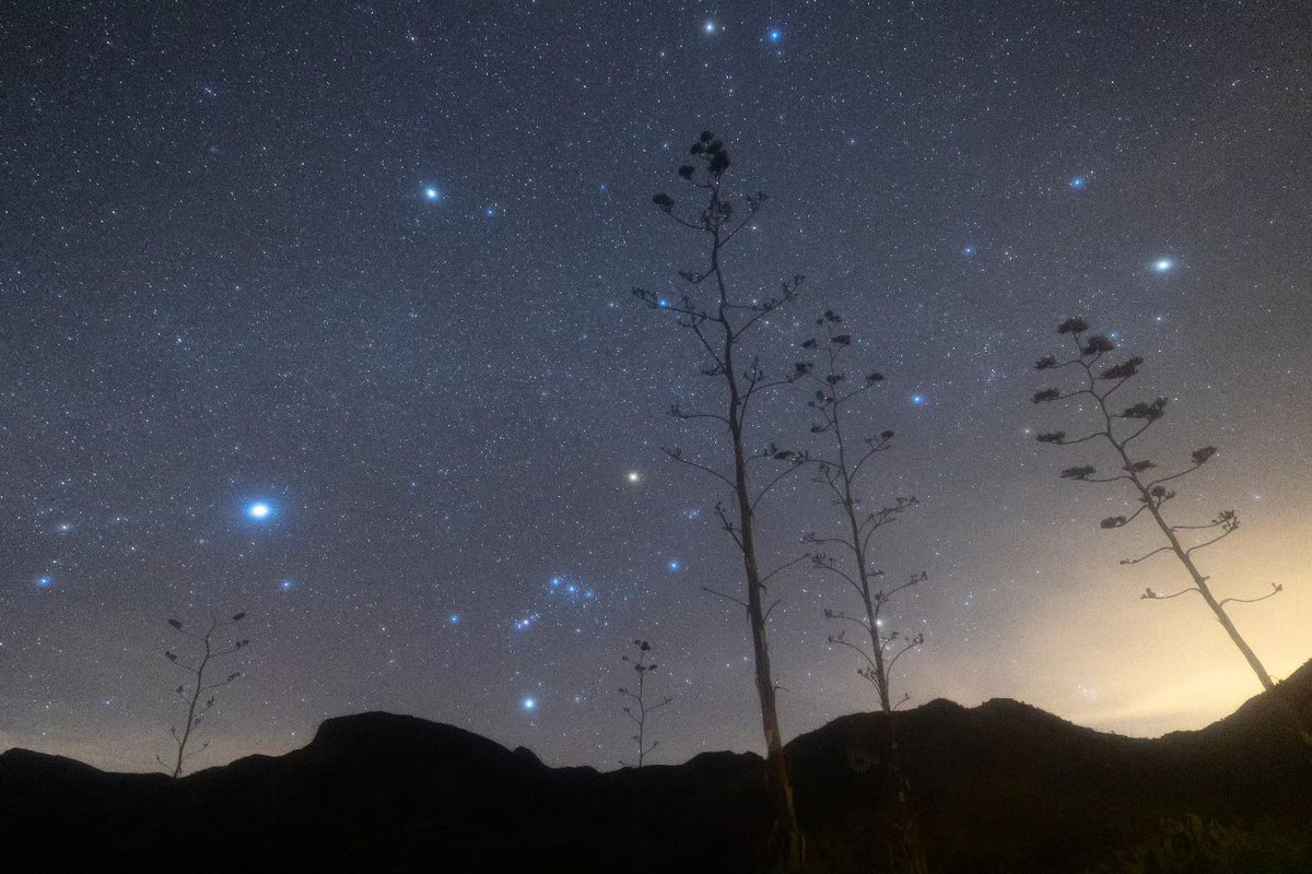 Who's ready to party? STAR Party, that is! ✨🪩 Kartchner Caverns State Park is hosting a spectacular astronomy event this Saturday, May 4. Look through telescopes, hear from a guest speaker and experience stargazing in a Dark Sky Park. bit.ly/2l33B4Z 📸: @isaiah.ortiz_