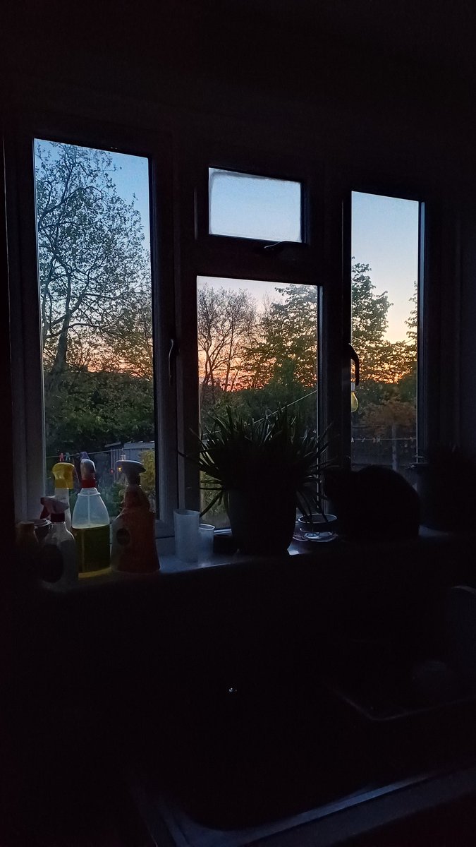 5am out my kitchen window this morning... #Dawn #beautifulday #phonepic #nofilter #southlondon #sunrise #PudsyCottage #spotthecat #Spring2024