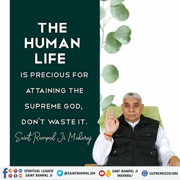 #GodMorningTuesday
THE HUMAN
LIFE
IS PRECIOUS FOR ATTAINING
THE SUPREME GOD,
DON'T WASTE IT.
@SaintRampalJiM 
Visit Our Saint Rampal Ji Maharaj YouTube Channel for More Information
#tuesdaymotivations