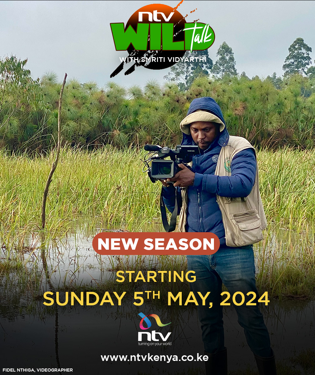 ntvkenya's tweet photo. The #NTVWildTalk team is back with brand new episodes! Catch the action starting this Sunday, May 5 at 8.25pm with @SmritiVidyarthi https://t.co/V0j2xyBSPm