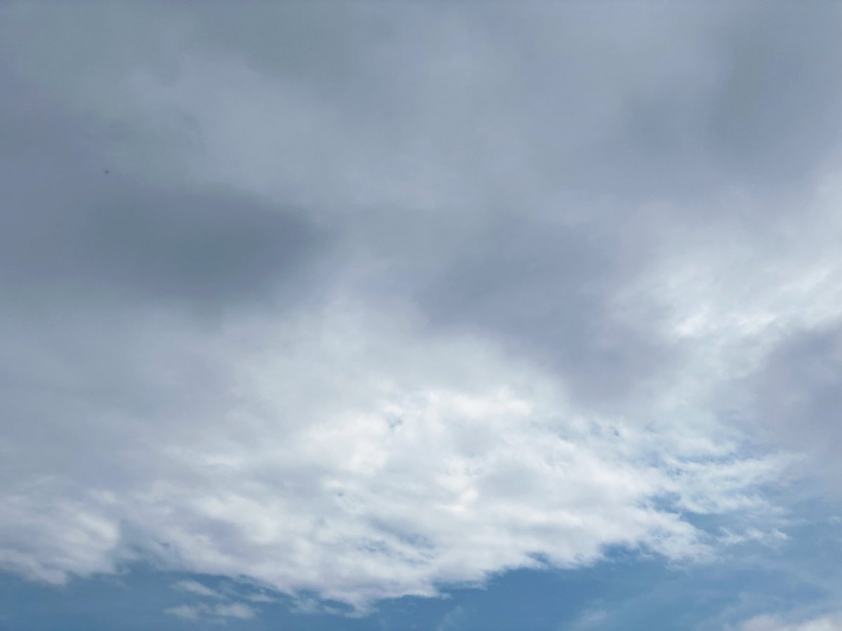 こんにちは☺️
本日の #広島 は曇です☁️
この季節はなかなか気温や天気が
安定しないですね…
皆様体調など崩されませぬよう
ご自愛くださいませ( ；꒳； )

御予約は公式ホームページがお勧め🩵
hotelsuite.co.jp/yokogawa/

#横川 #ホテル #企業公式 #企業公式が地元の天気を言い合う #フォロバ
