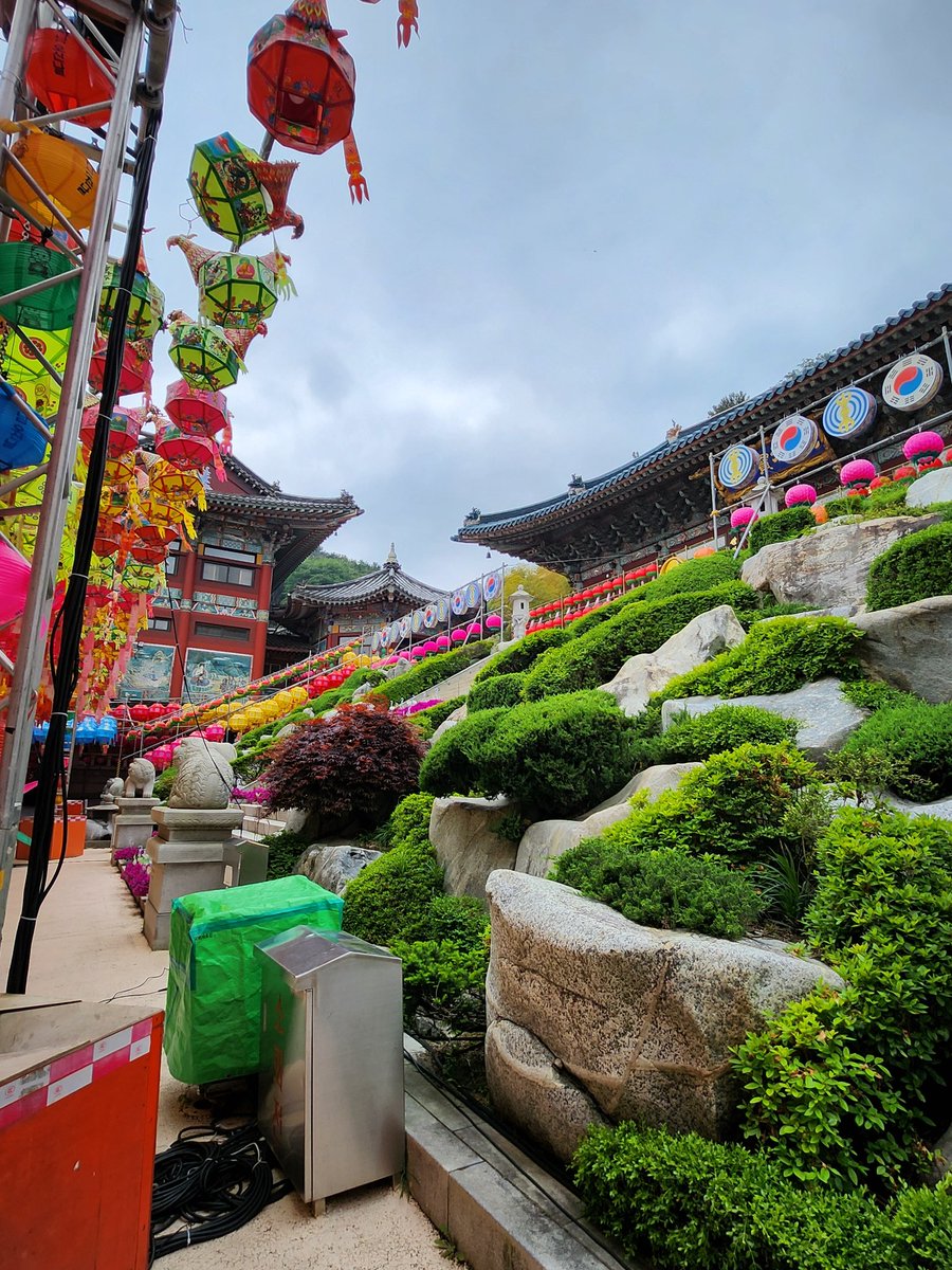 Last full day in Busan and we visited Samgwangsa Temple which was breathtaking in every way! Ferry to Fukuoka tomorrow and then Shinkansen to Tokyo the day after!