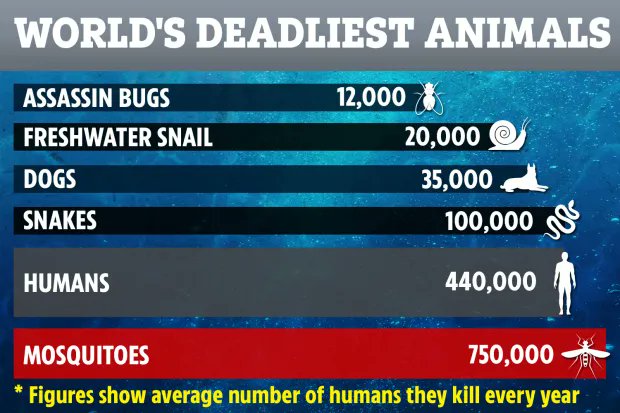 bazı kesim aklamaya çalışıyor fakat bu rakam bile yeter.Another creature belonging to the “small but deadly” category is the freshwater snail, which is responsible for more than 200,000 deaths a year