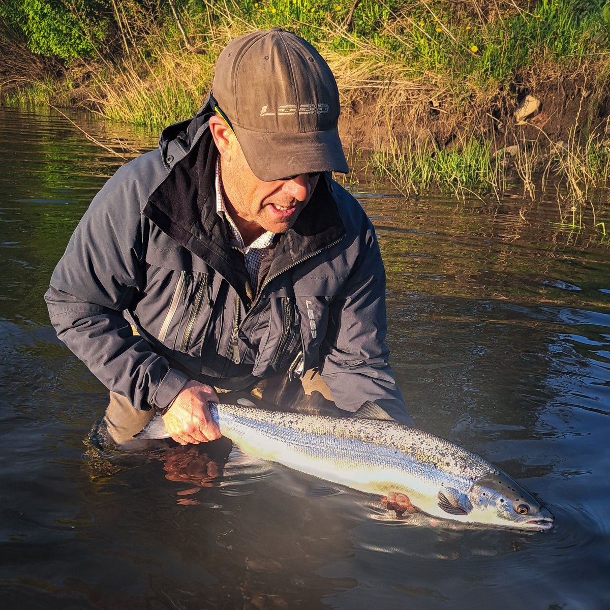 Another prized springer to add to this years encouraging returns. This 9lb fish was caught last week by our Eden Keeper Mark Strong on our Wetheral Beat.
#salmonfishing #salmon #springsalmon #springer #rivereden #wetheral #cumbria