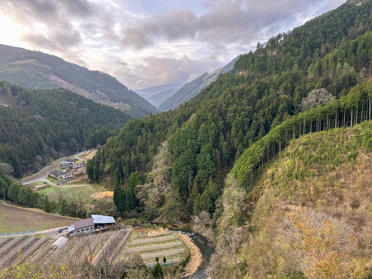 剣山の方を向いて歩むために意図的に迂回することを目論んだことは、岩屋寺を後にした道のりからもわかります。四十五番・岩屋寺からはなんと、これまで登ってきた山道を四十四番・大寶寺に向かって逆戻りするのです。。。#お遍路 #空海
historyjp.com/article/446/