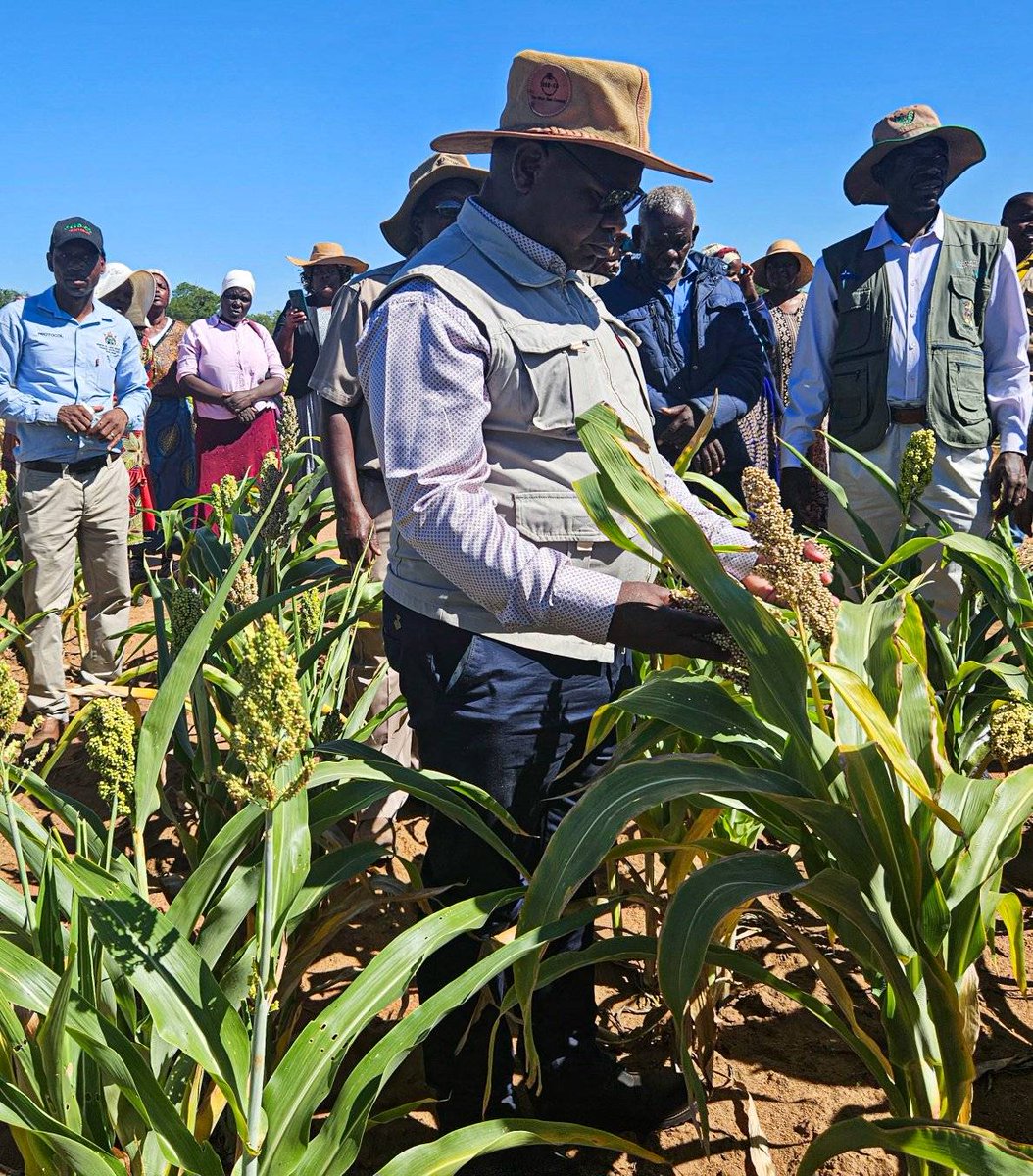 Regardless of any climate variability, a farmer must always respect the dictates of agroecological regions and should be advised of the correct crops to grow to ensure food security from the household to the national level.